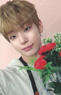 SILENCE SYNDROME MAKESTAR WINNER Kim Do Gyun photocard image