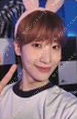 XOXO EVERLINE DONGMYEONG photocard image
