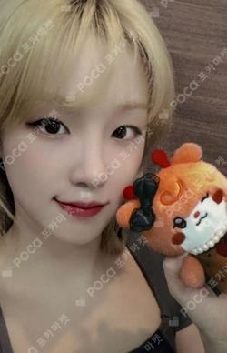 i-dle We are POP-UP RANDOM PHOTO CARD SET