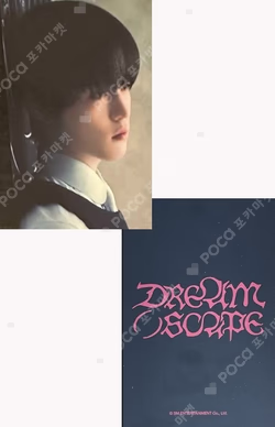 DREAM( )SCAPE YPBOOKS