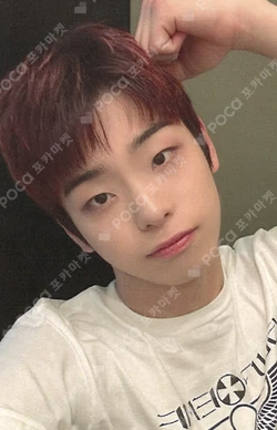 SILENCE SYNDROME EVERLINE