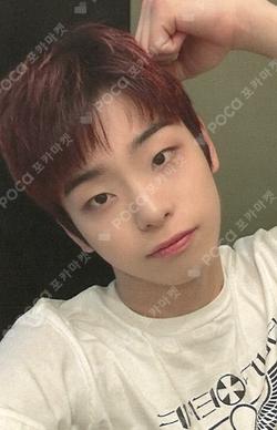 SILENCE SYNDROME EVERLINE Kim Do Gyun photocard image