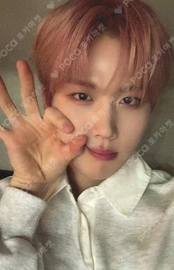 NEW CHAPTER : LUCEAT POP-UP STORE EVERLINE REFLECTION SLOGAN YOUNGSEO photocard image