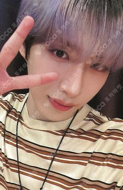 5x DEAR MY MUSE XION photocard image