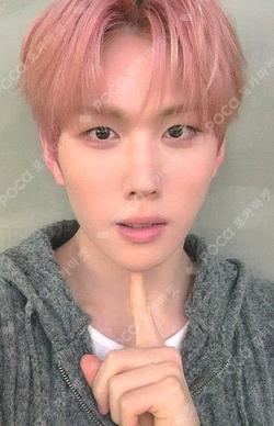 NEW CHAPTER : LUCEAT MUSIC KOREA YOUNGSEO photocard image