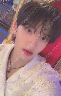 WHAT Special Edition