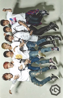 1st OFFICIAL GOODS 'PURE' PHOTO CARD SET