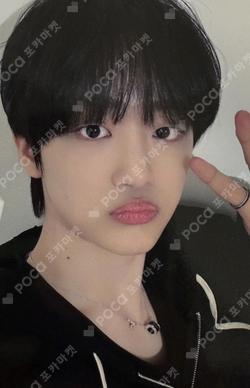 Butterfly fromm store JinSu photocard image