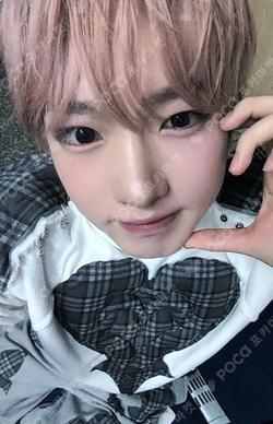 COLOR MUSICART SAKUYA photocard image