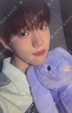 Snowy Summer BEATROAD