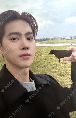 Who Are You Stranger Ver. SUHO photocard image