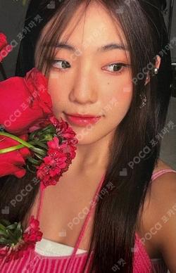 H1-KEY 500 DAYS POP-UP STORE MD TIN CASE & PHOTOCARD SET YEL photocard image