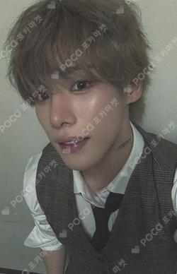 [N] fromm store XEN photocard image