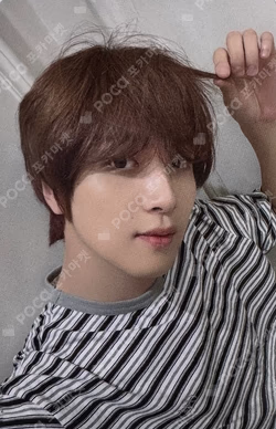 Dreamiez's Dream Forest POP-UP PVC PHOTO CARD HOLDER