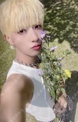 2025 ONEWE WORLD TOUR 'O! NEW E!volution Ⅳ' ENCORE RANDOM TRADING CARD