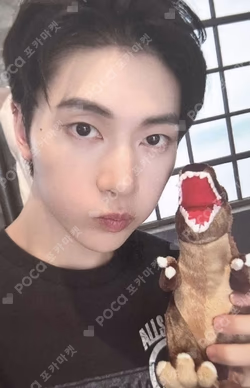 NEVER SAY NEVER SOUND WAVE