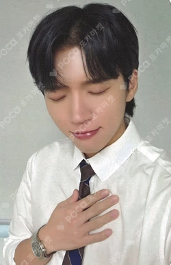 Tree Ring SOUND WAVE