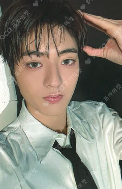 PLEASURE WEVERSE OFFICIAL MD REWARD