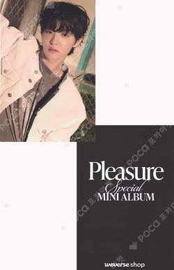 PLEASURE WEVERSE