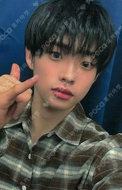 FLEX LINE fromm store SHINYECHAN photocard image