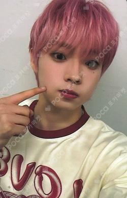 FLEX LINE ARAISE SHINYECHAN photocard image