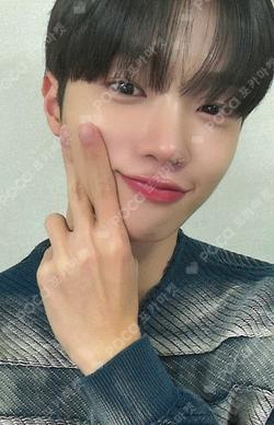 Stally DEAR MY MUSE Son Dong Pyo photocard image