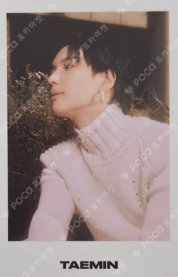 Never Gonna Dance Again : Act 2 MINI COLLECT BOOK TAEMIN photocard image