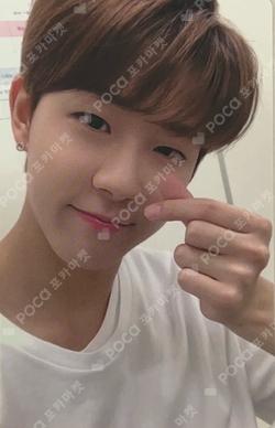 GOLDENNESS 1st Generation KimDongHyun photocard image