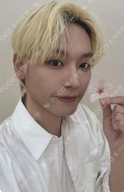 LOVE RACE FANPLEE INSEONG photocard image