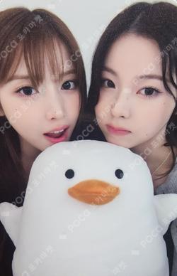 Blue Valentine : The Paradox of Love Unit photocard image