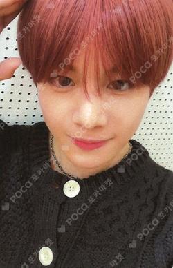 MAKE SUNSHINE EVERLINE HIKARI photocard image