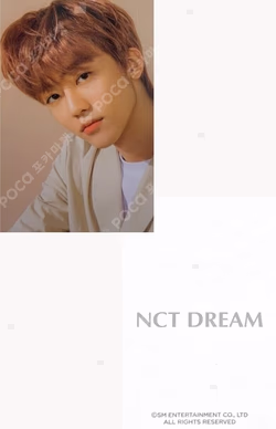 2020 NCT DREAM SEASON'S GREETINGS 11st