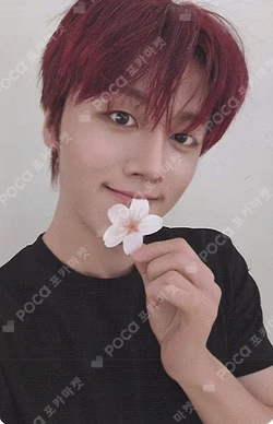 LOVE RACE FANPLEE YOUNGBIN photocard image