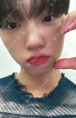 Stally DEAR MY MUSE Son Dong Pyo photocard image