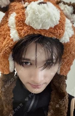 LOUD & PROUD EVERLINE