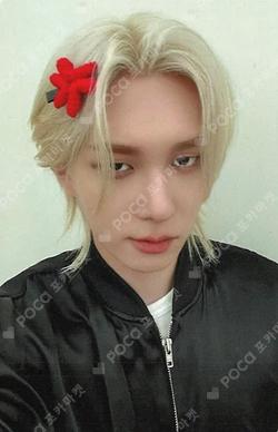 DUH! EVERLINE THEO photocard image