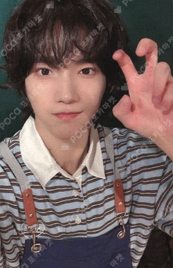 Butterfly FANPLEE Chael photocard image