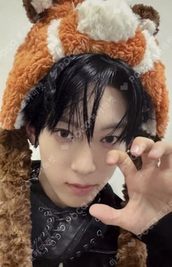 LOUD & PROUD EVERLINE