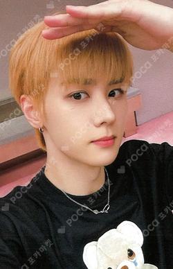 BIG BANDS DEAR MY MUSE KUN photocard image