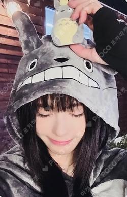 Not Just Pretty EVERLINE KOKO photocard image