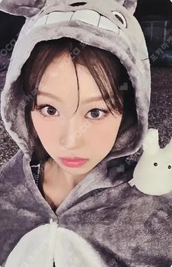 Not Just Pretty EVERLINE Choi Jung Eun photocard image