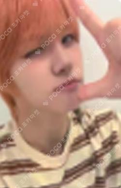 WHO WE ARE MUSICART JUWON photocard image