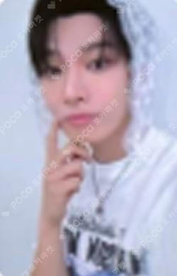 WHO WE ARE Starlike Music STEVEN photocard image