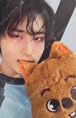 Stray Kids World Tour dominATE : celebrATE REWARD