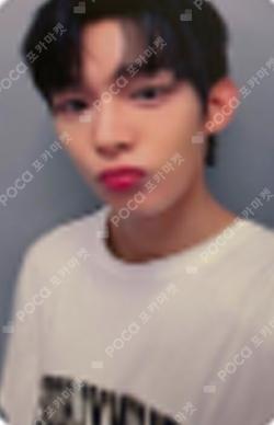 WHO WE ARE KPOP TOGETHER STEVEN photocard image