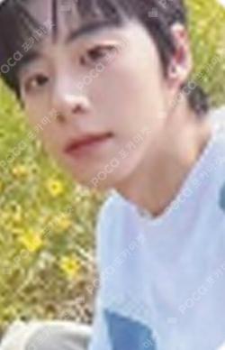 WHO WE ARE POP-UP STORE TRADING CARD JEONGWOO photocard image