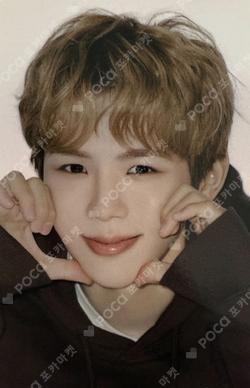 [TO THE NCT UNIVERSE] NCT HOME BINDER INDEX SET SHOTARO photocard image