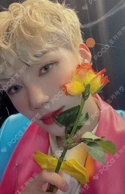 THE BOYZ NEW photocard image