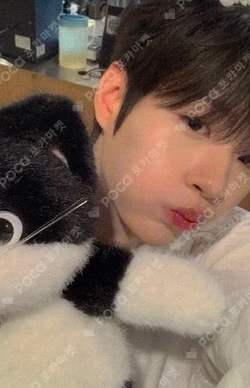 Snowy Summer Hellolive shop