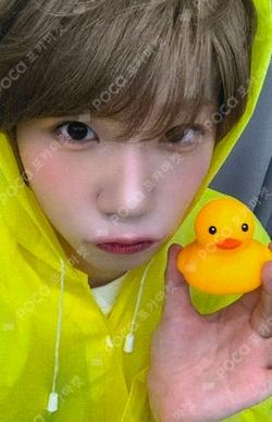 Snowy Summer knpops KENSHIN photocard image